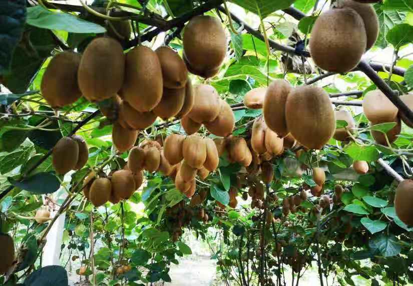 微信圖片_20181106152623.jpg 微信圖片_20181106152623.jpg