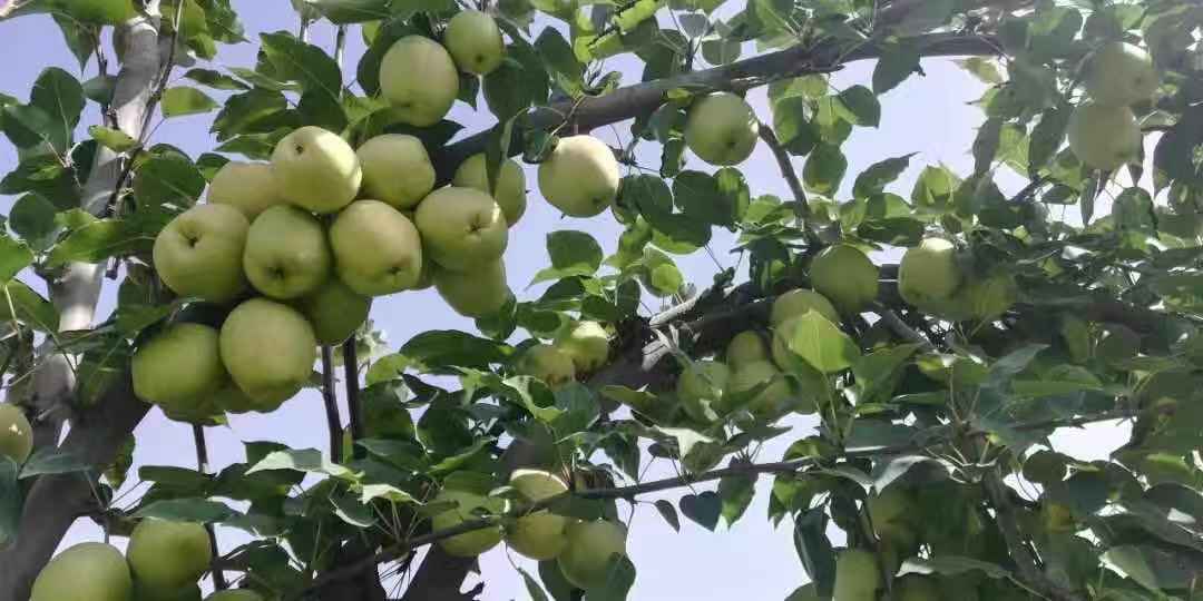 微信圖片_20181106152646.jpg 微信圖片_20181106152646.jpg