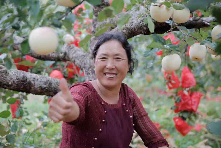 微信圖片_20181106152423.jpg 微信圖片_20181106152423.jpg